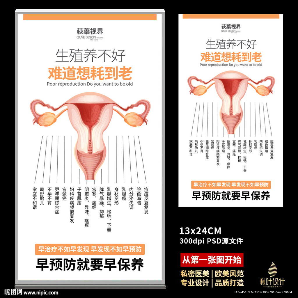 私密海报 女性保养 子宫