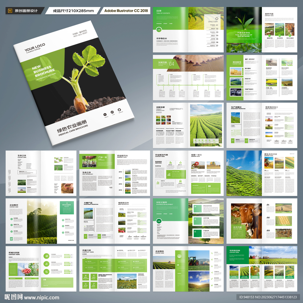 农产品宣传册