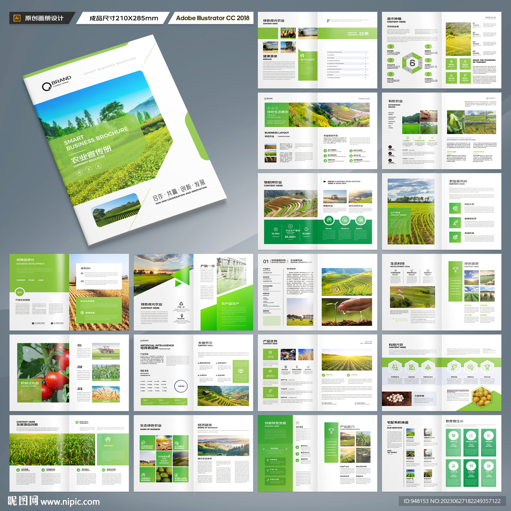 农产品宣传册