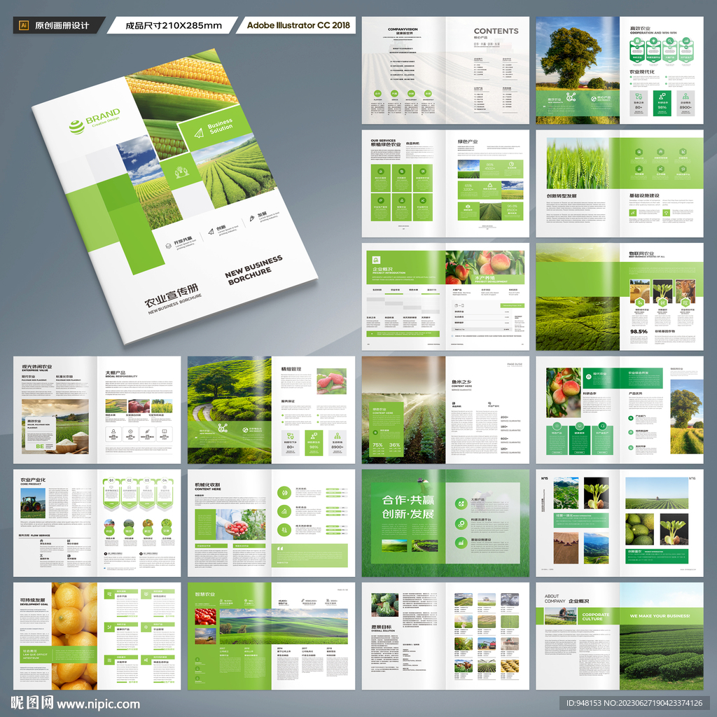 农业合作社画册