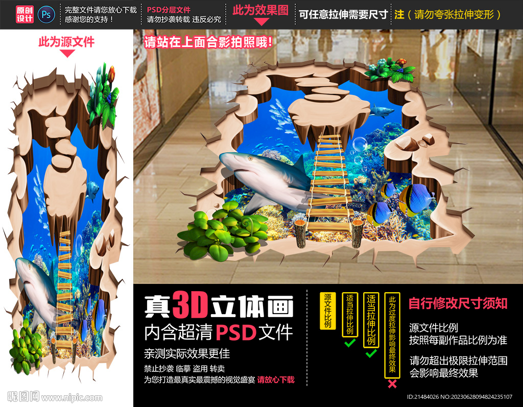 鲨鱼立体画
