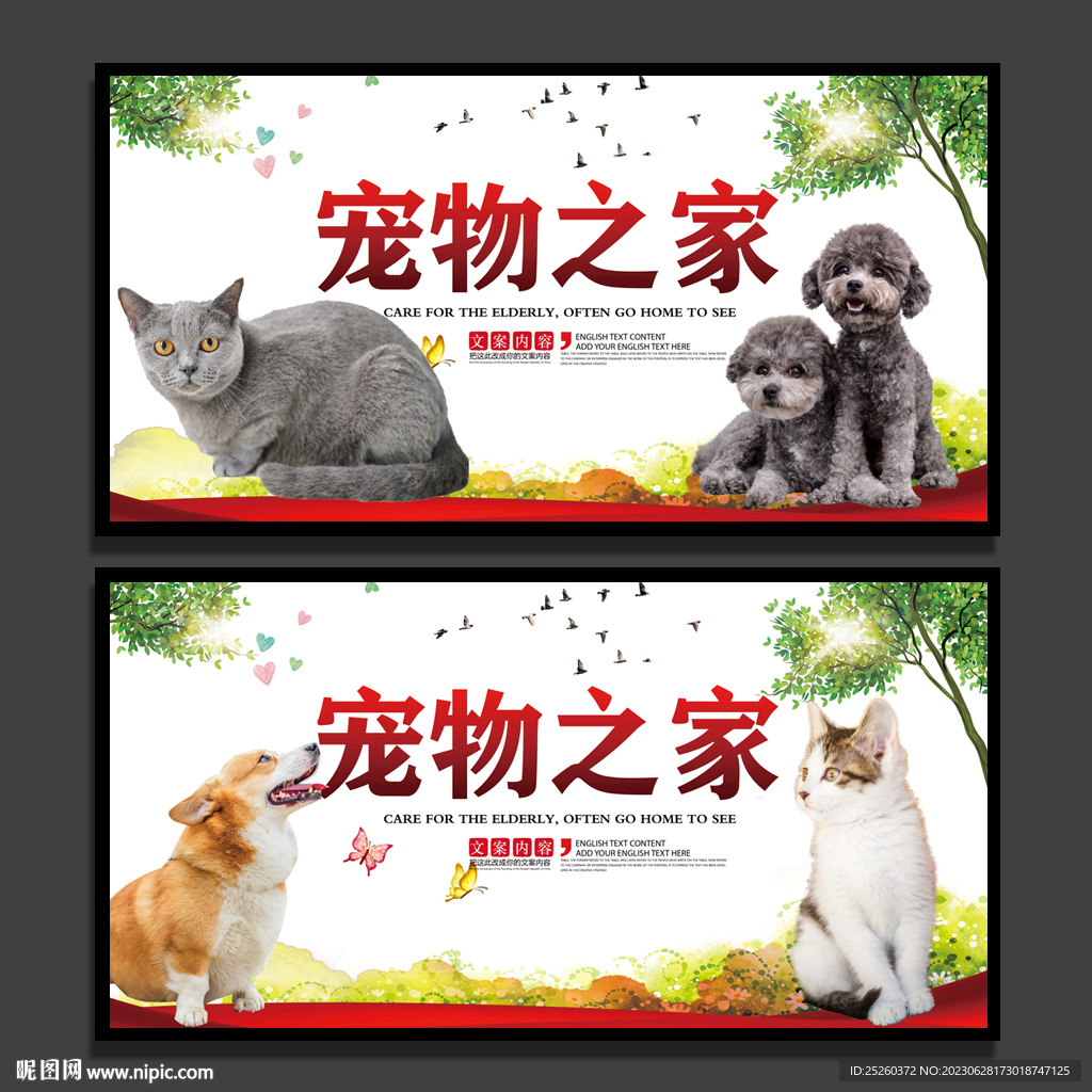 宠物