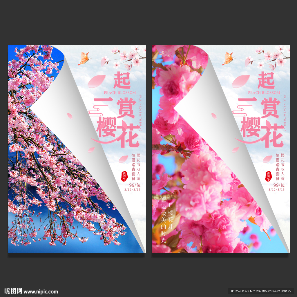 樱花节