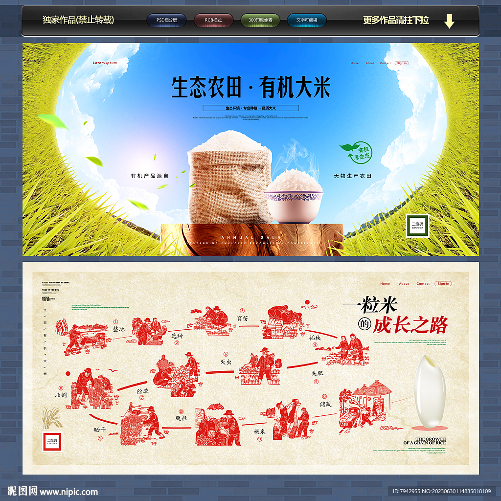 大米