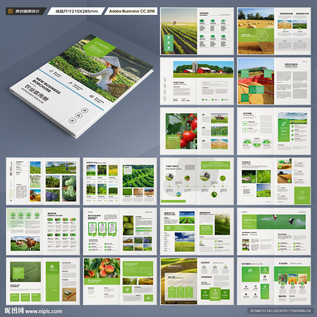 农业宣传册