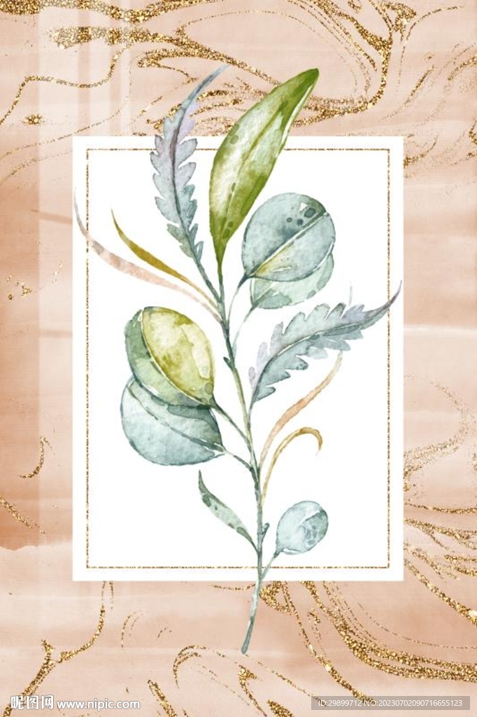 热带植物叶子