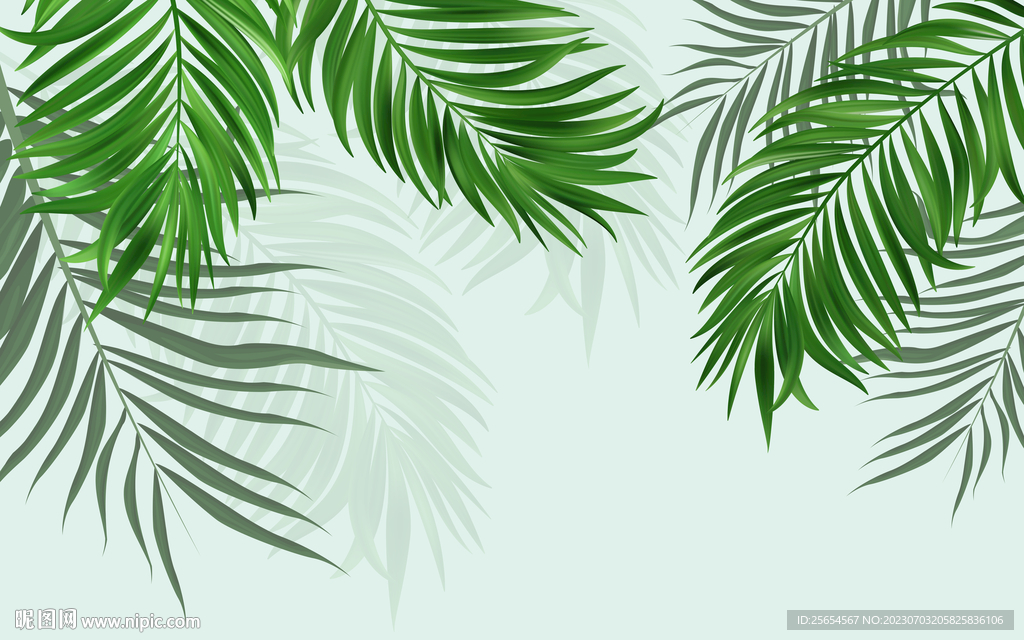 热带树叶棕榈叶室内背景墙