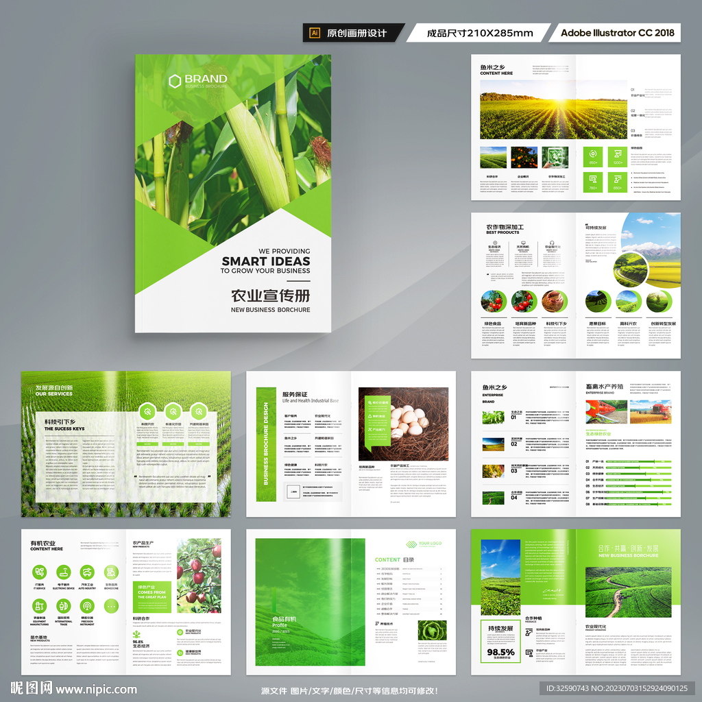 农产品宣传册
