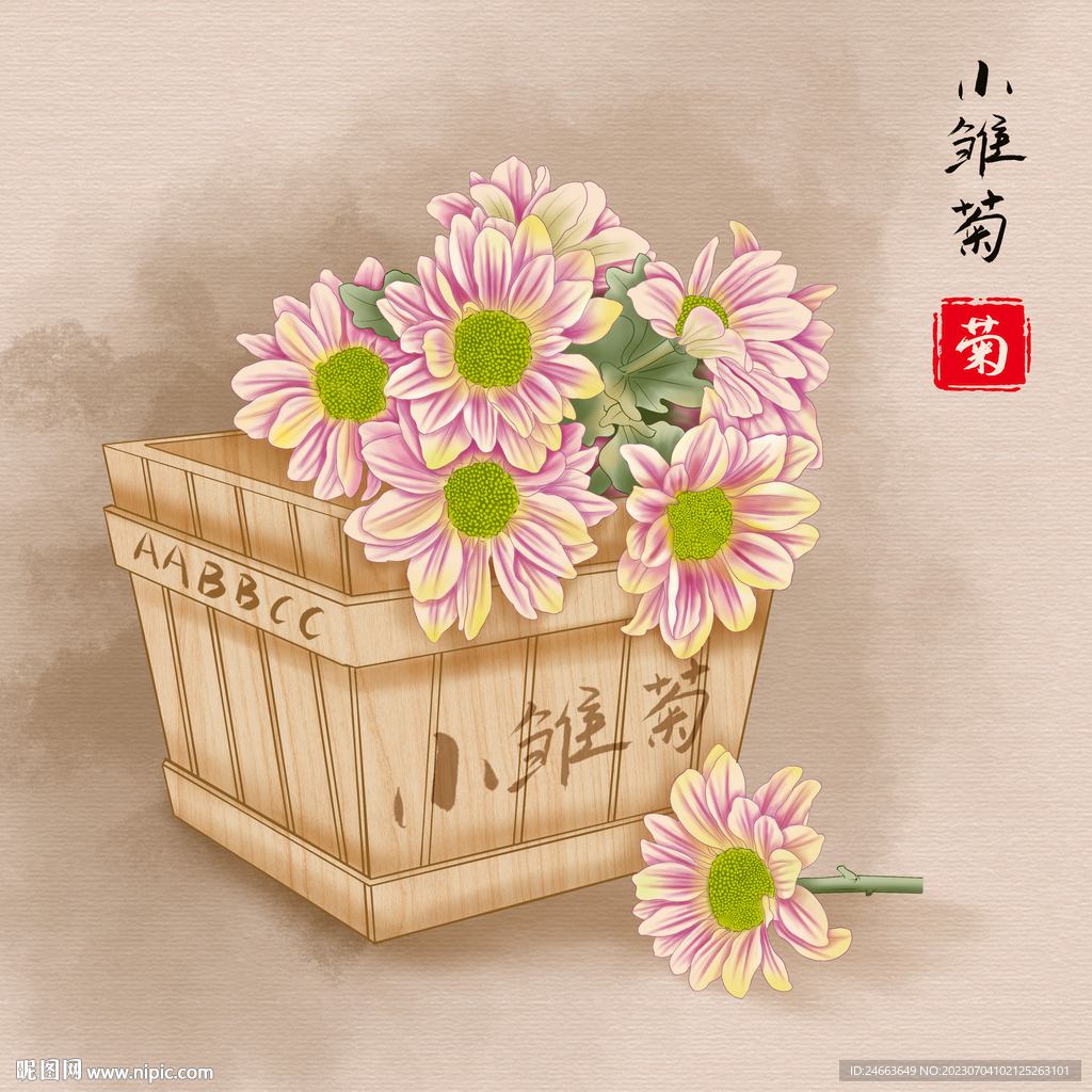 小雏菊