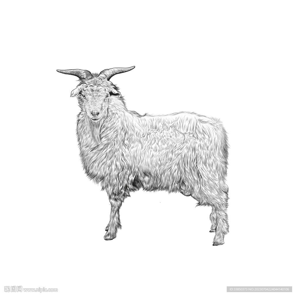 手绘 彩色 素描 羊头图片素材免费下载 - 觅知网