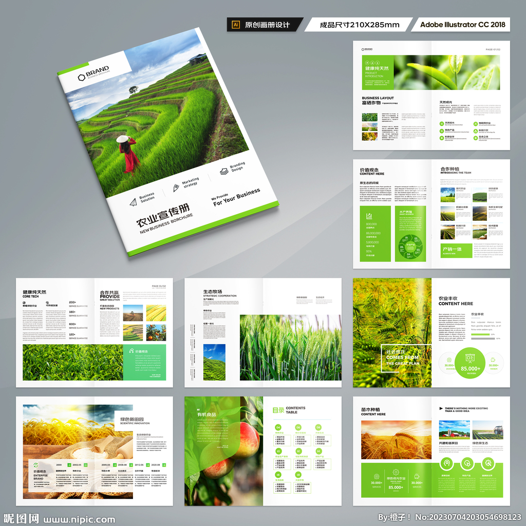 农业合作社画册