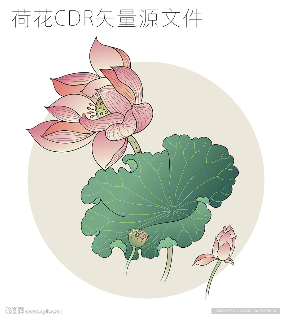 荷花 cdr