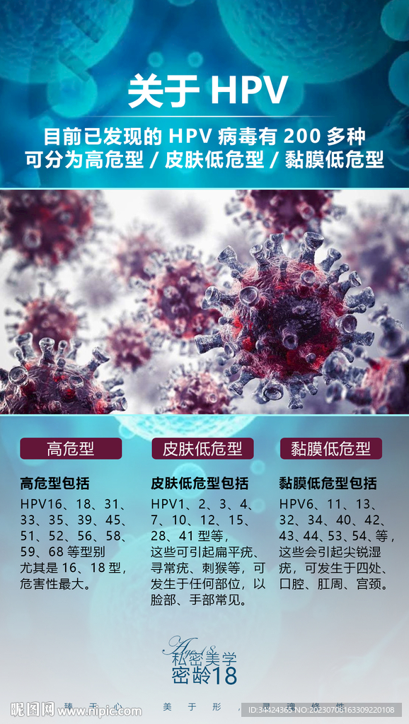 HPV科普