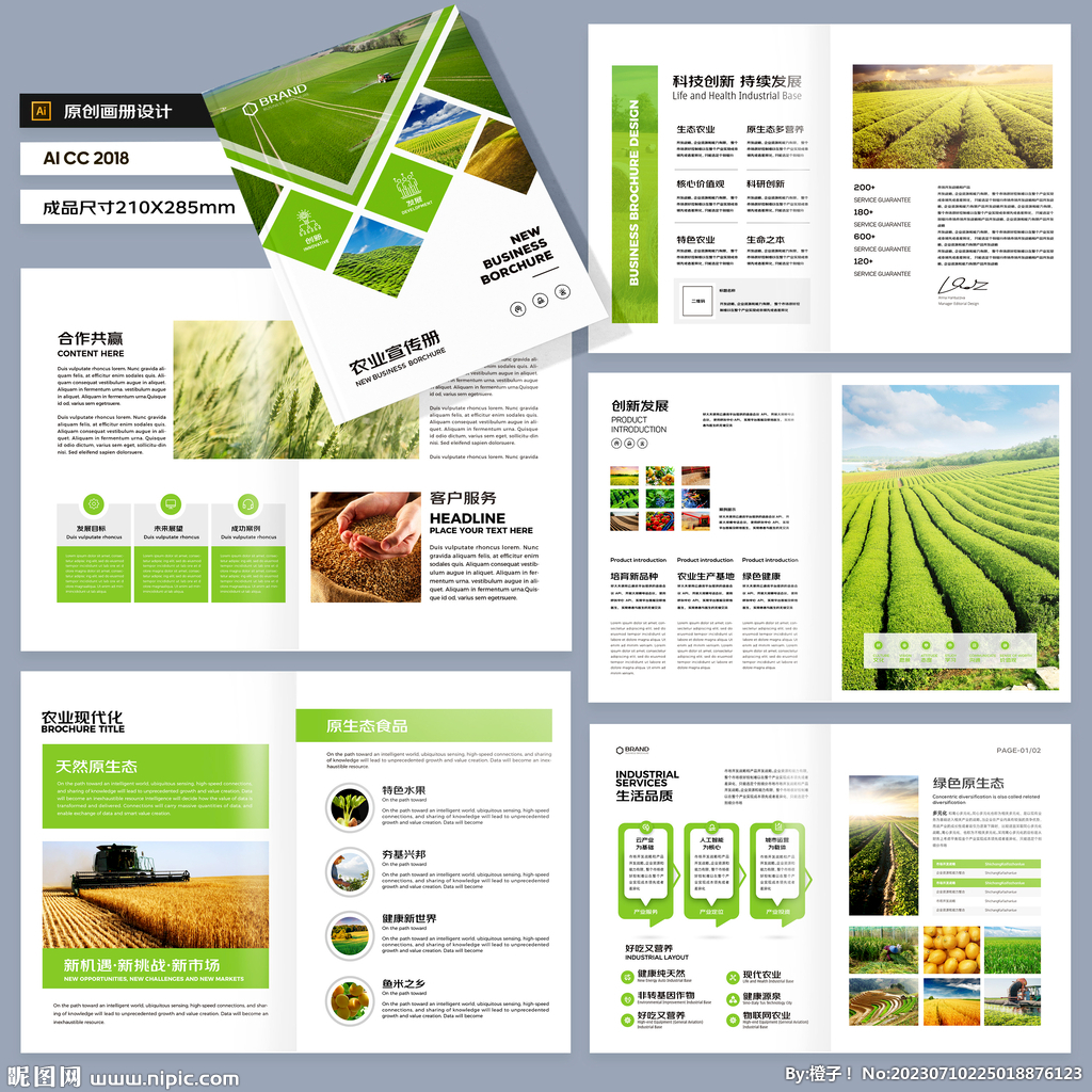 农产品画册