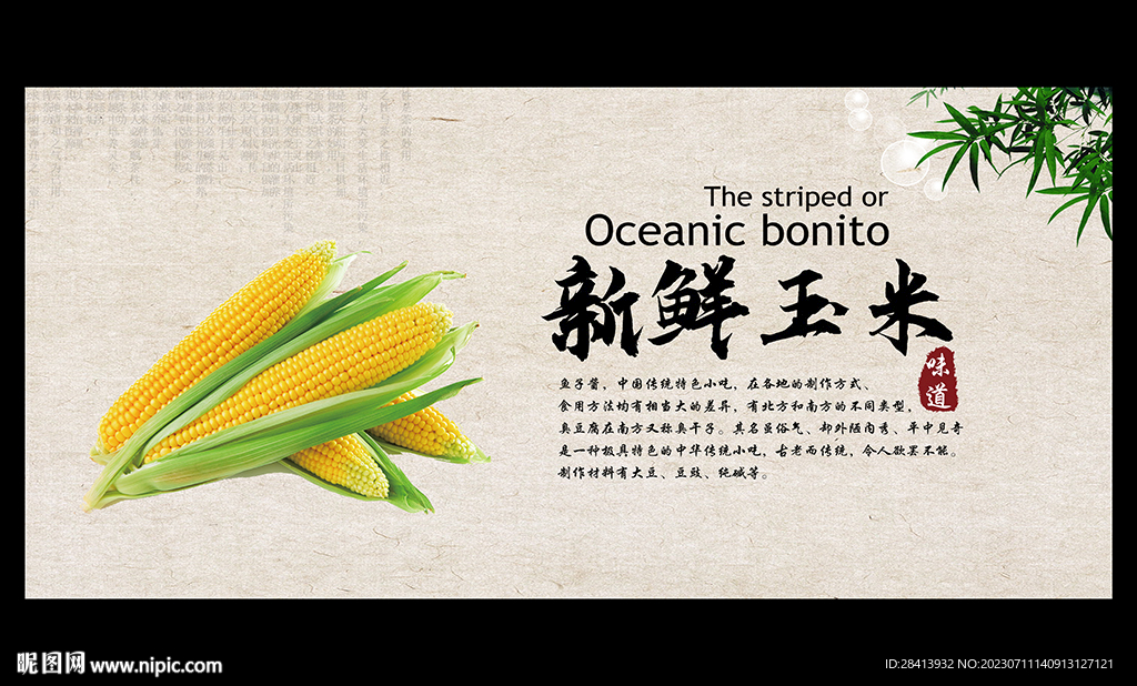 玉米