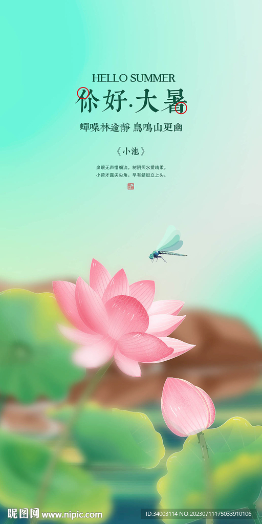 大暑荷花