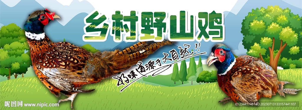 野鸡