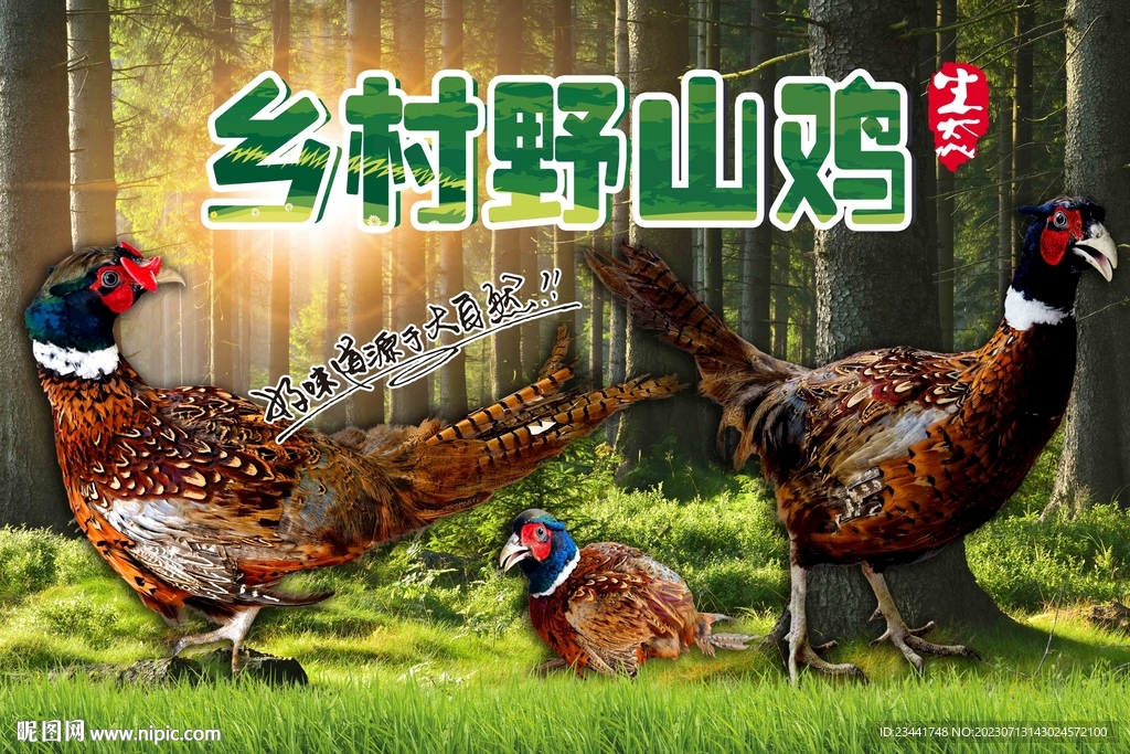 野鸡海报