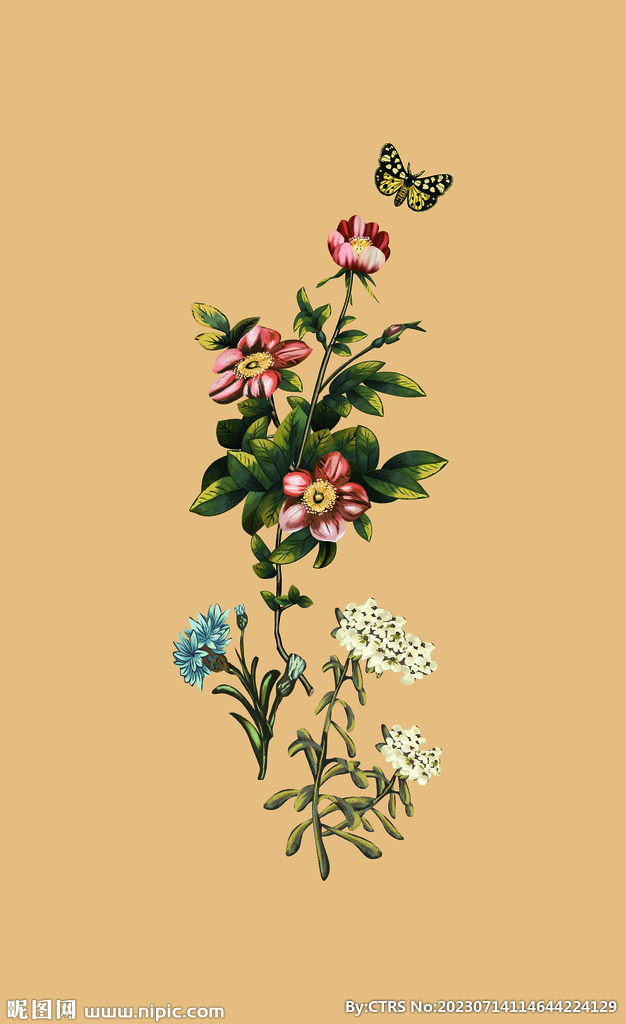定位花