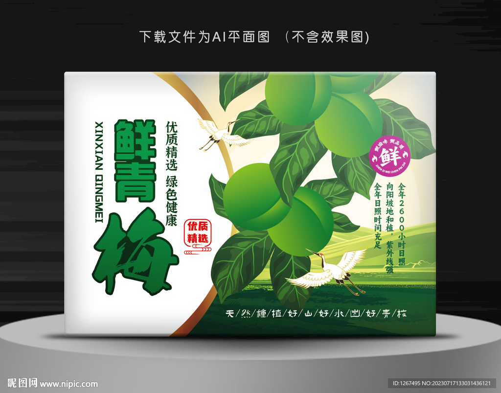 青梅彩盒