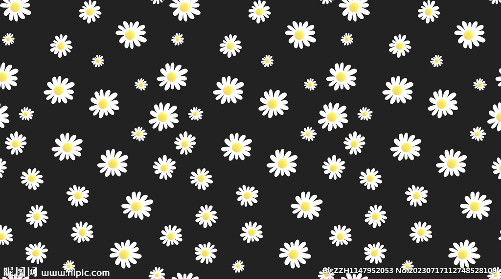 小菊花 