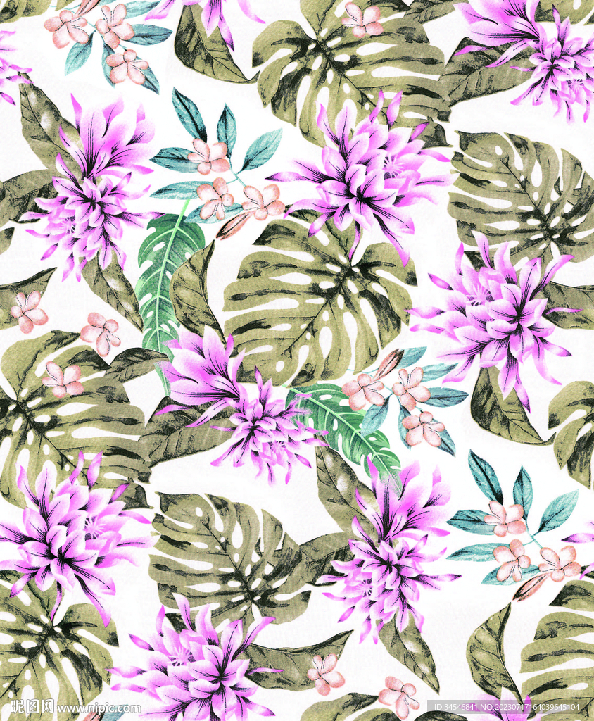 热带植物 热带花 龟背花