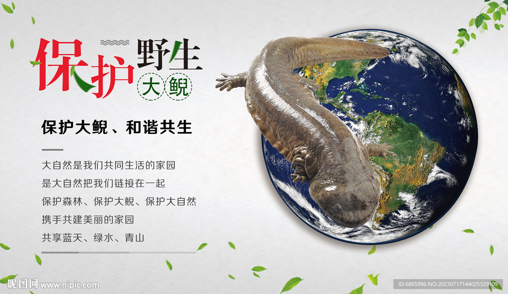 大鲵户外牌