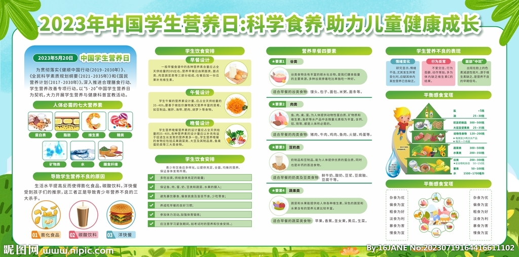 学生营养日宣传栏