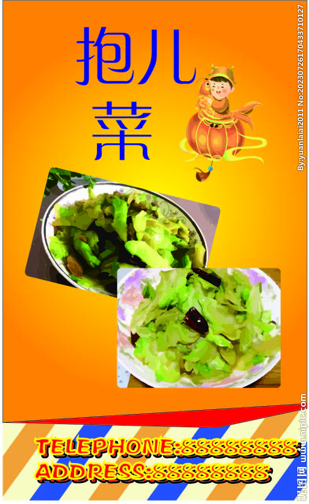 抱儿菜