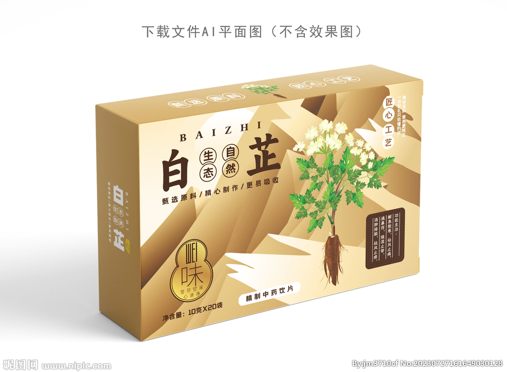 白芷设计