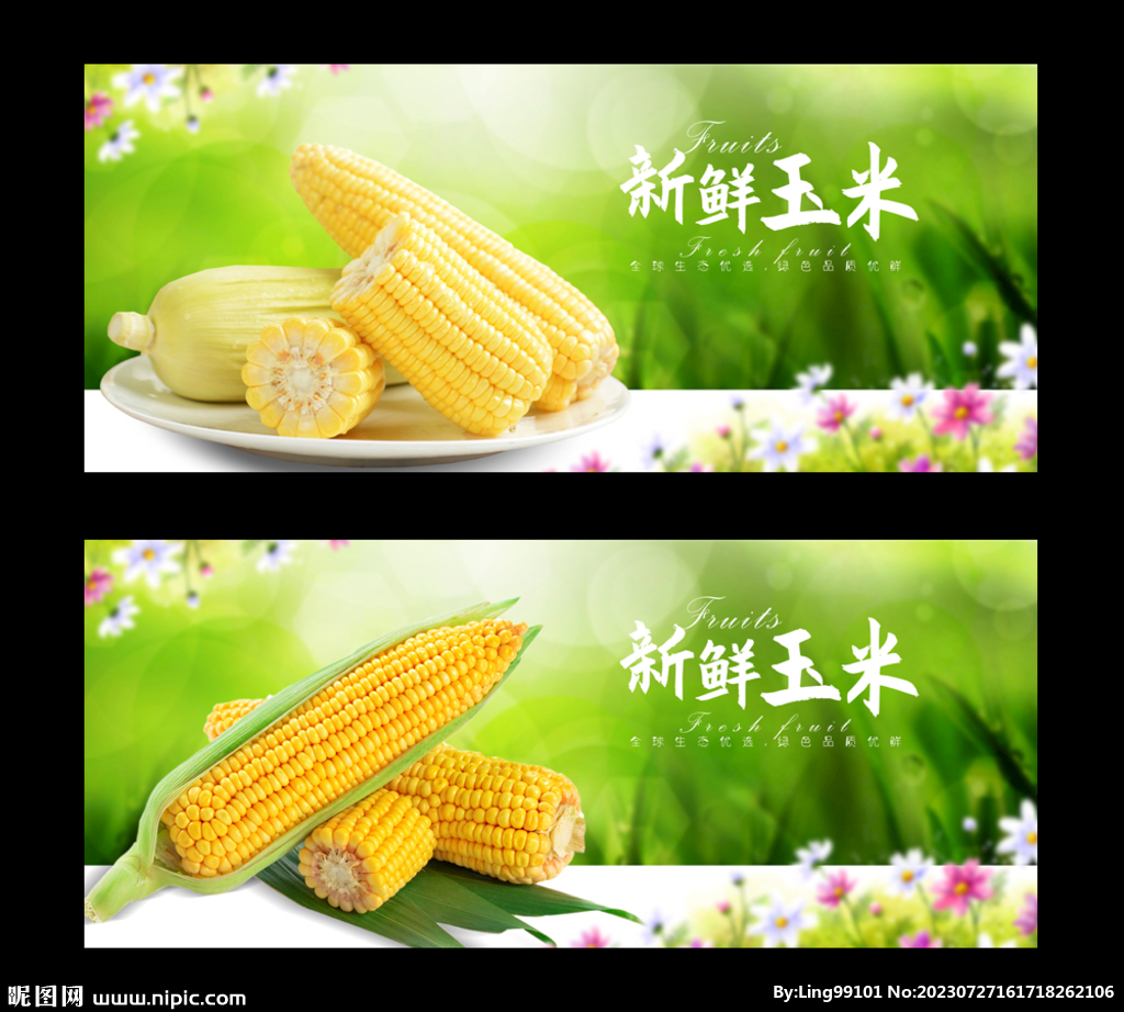 玉米