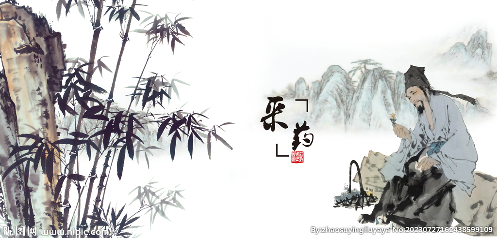 中医文化中医药