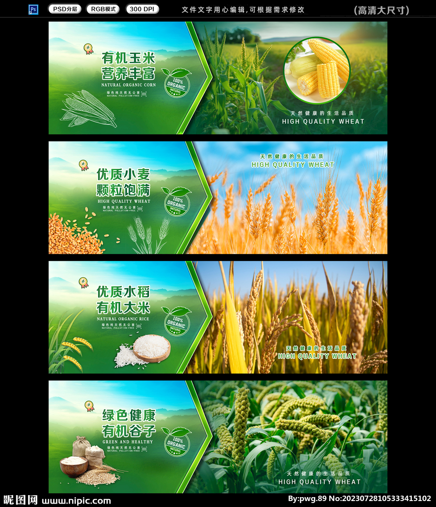  稻谷粮食 