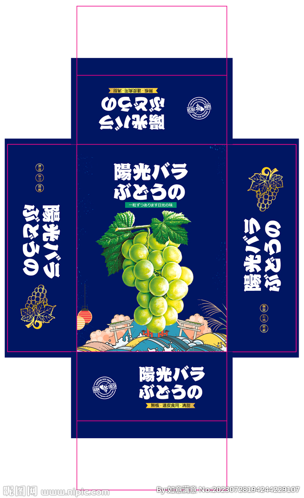 晴王阳光玫瑰葡萄平面展开图