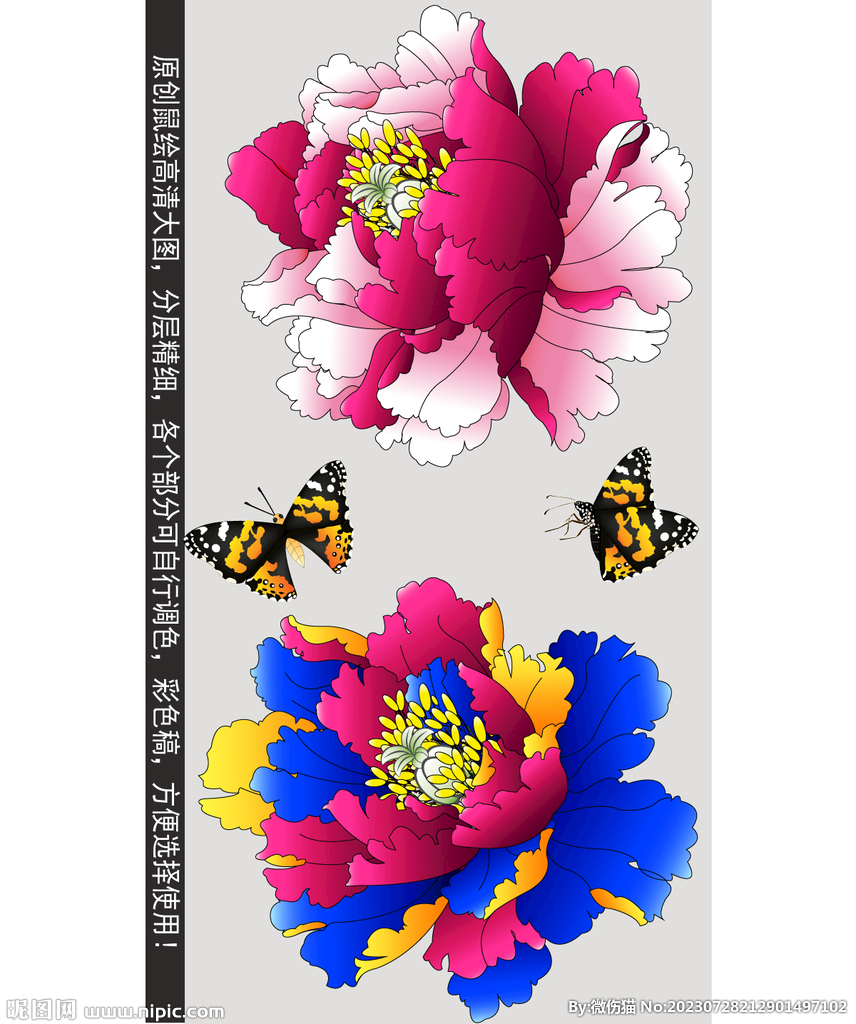 牡丹花朵