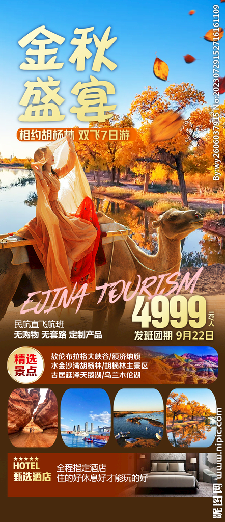 胡杨林之恋 