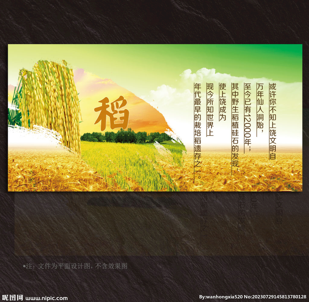 水稻展板