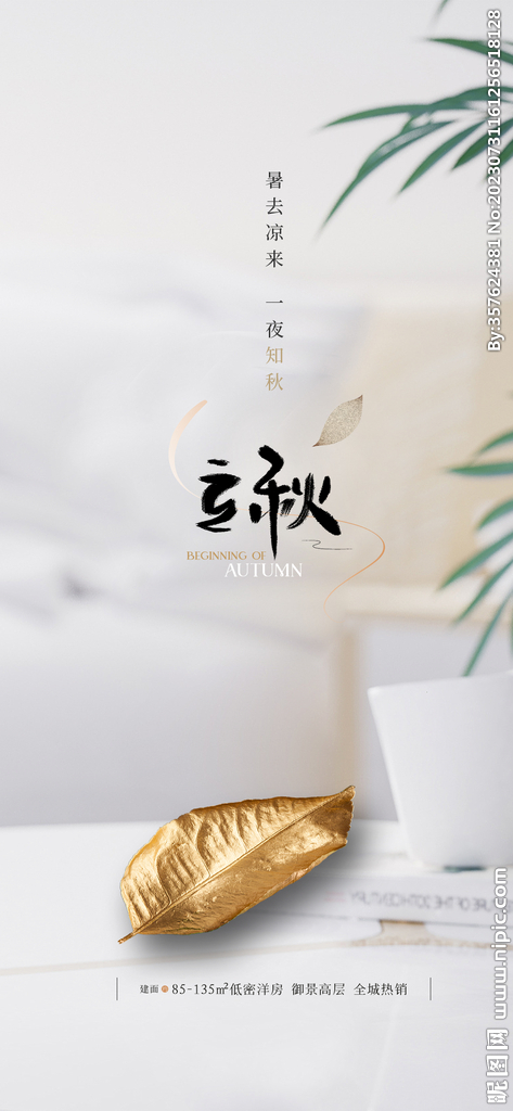 立秋  
