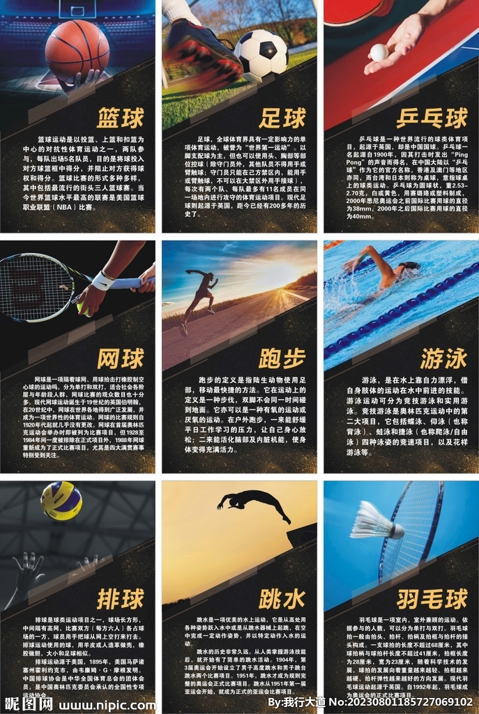 体育
