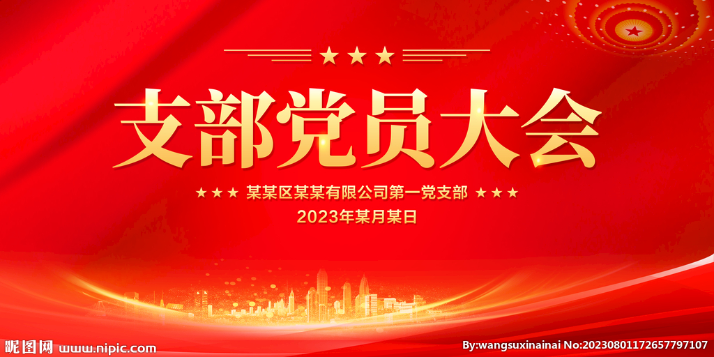 支部党员大会