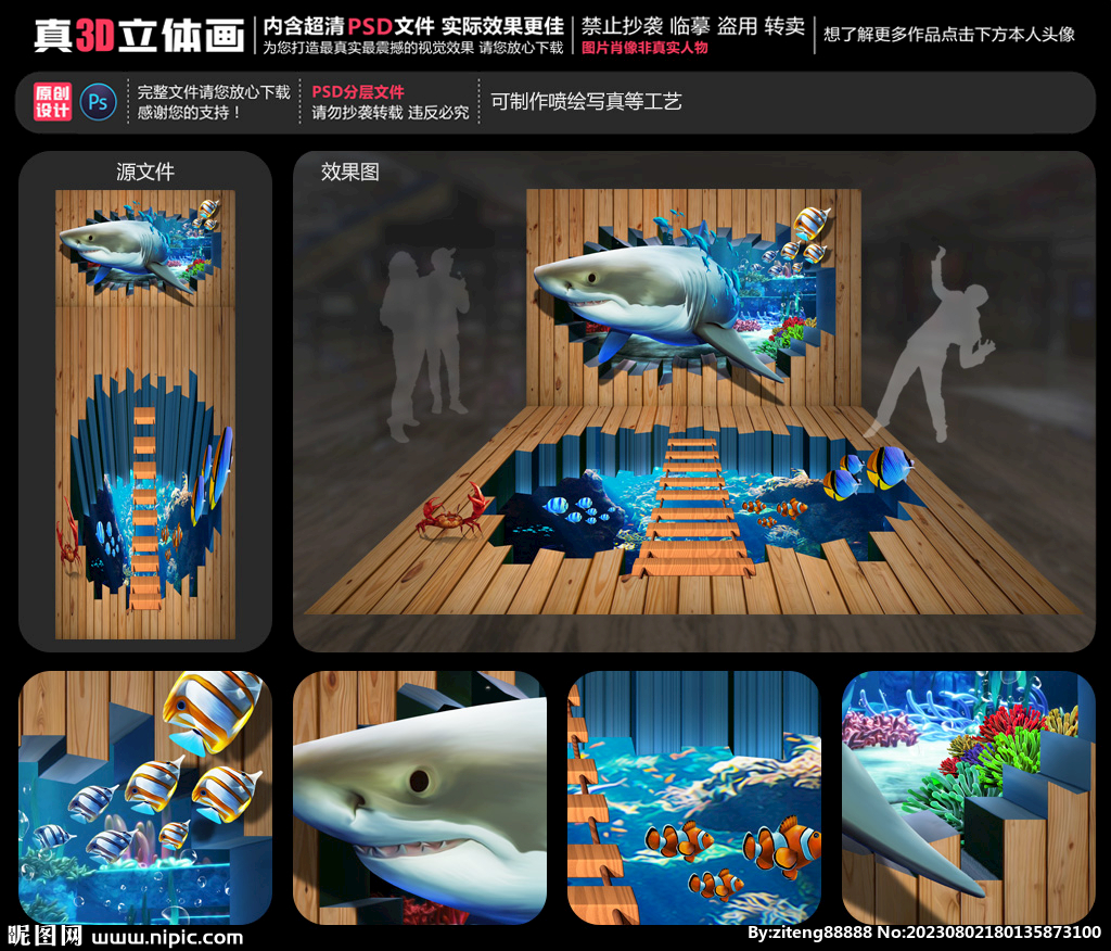 鲨鱼立体画