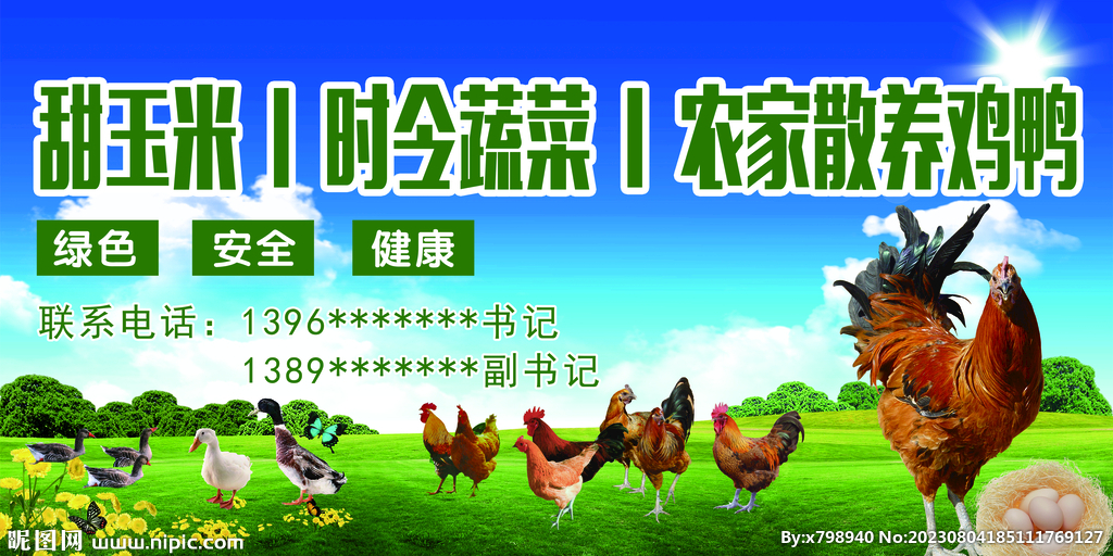 家禽海报