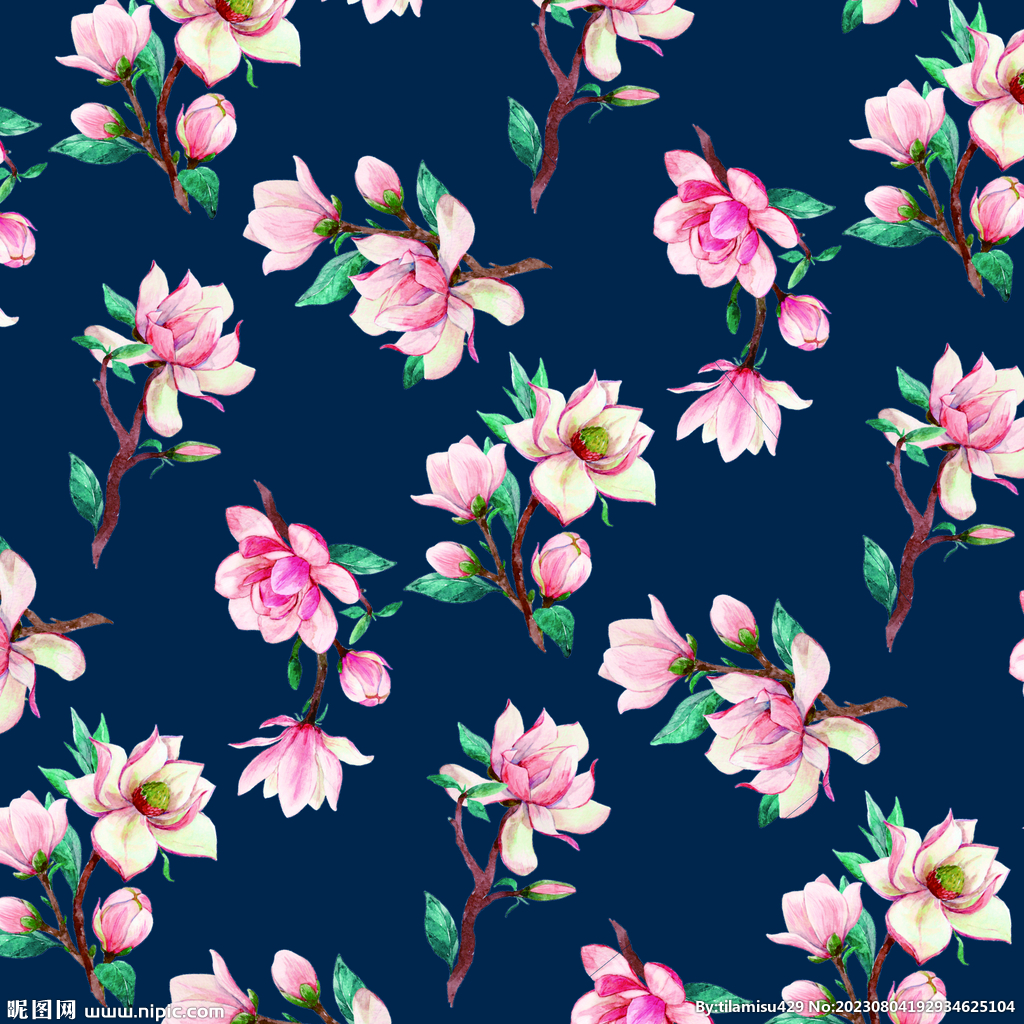 花卉 小花   花朵   