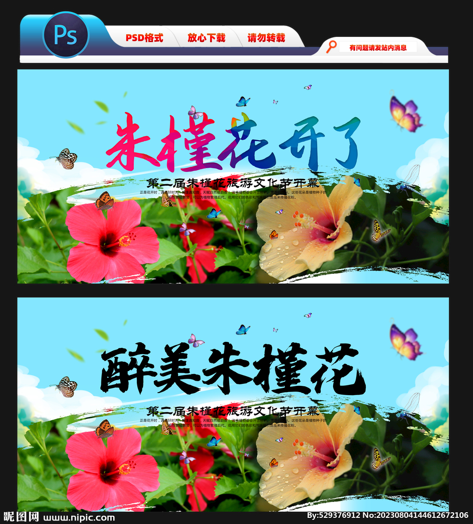 朱槿花