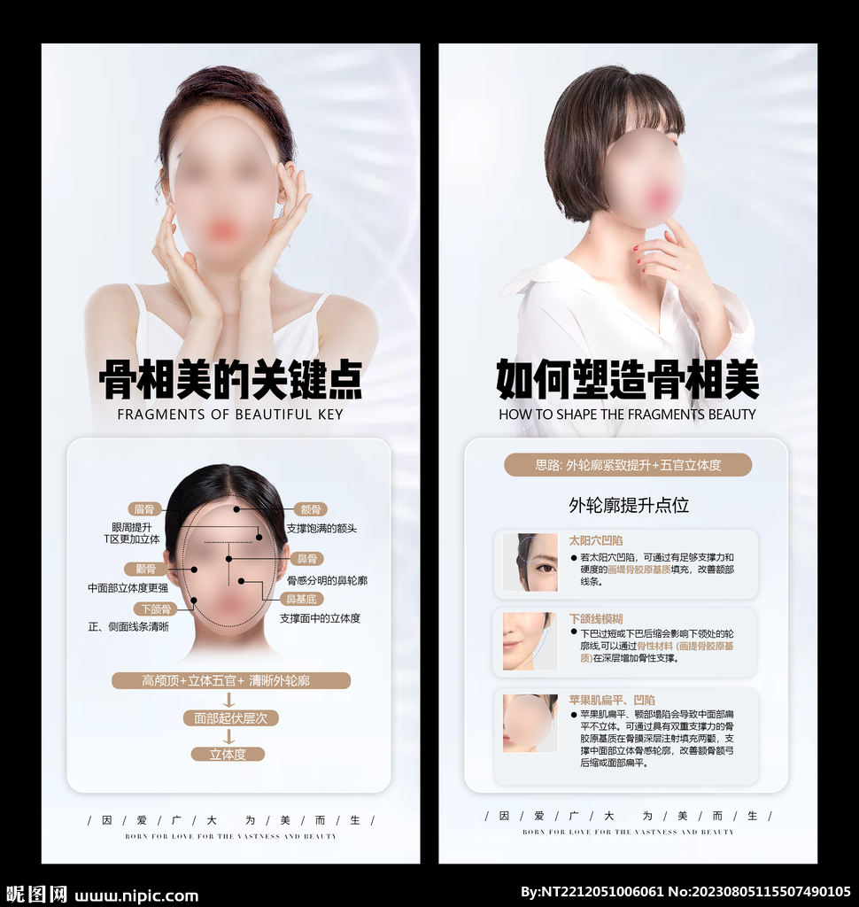 骨相美