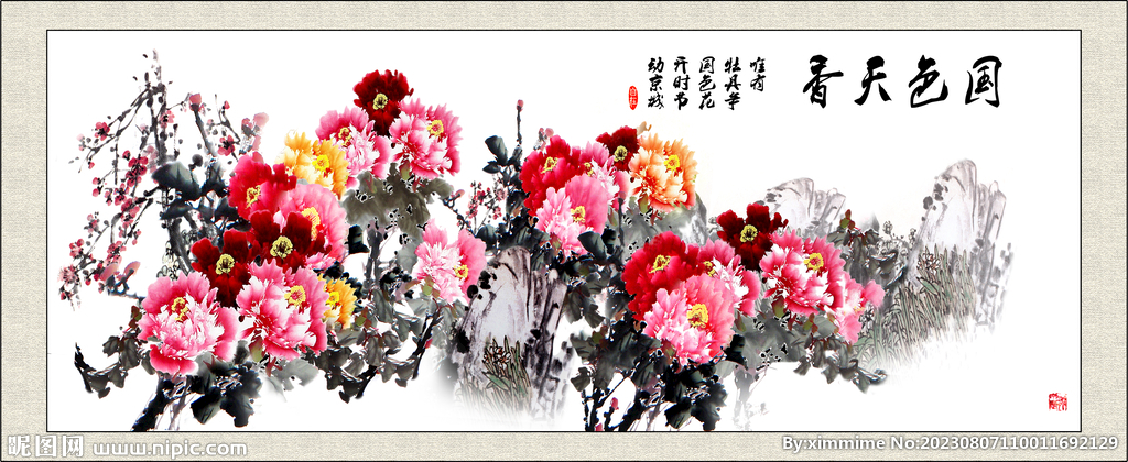 国色天香牡丹花