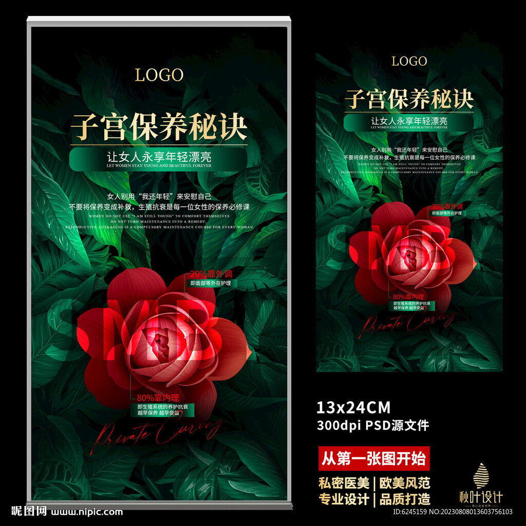 私密海报 女性保养 子宫图片