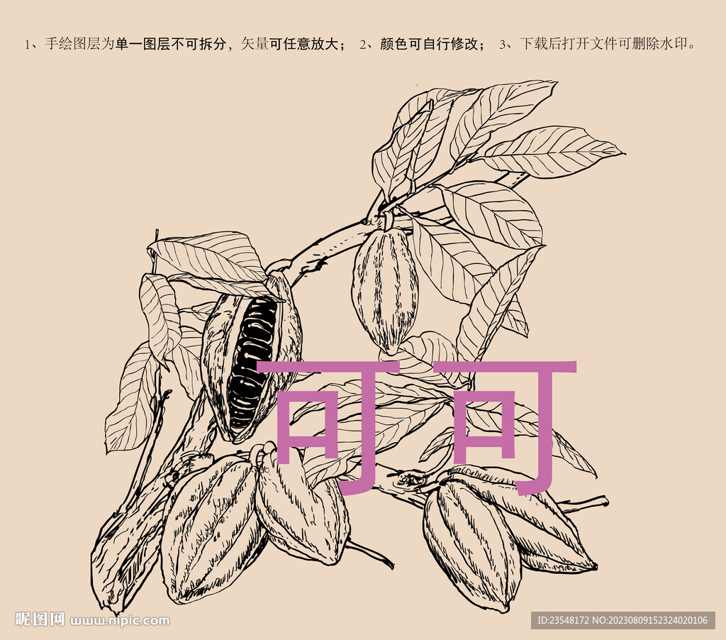 可可