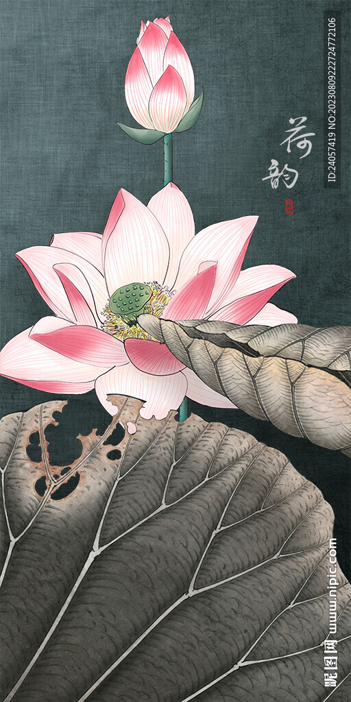 新中式荷花