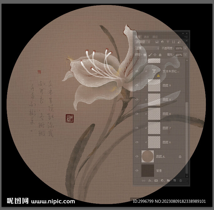 朱顶红 手绘